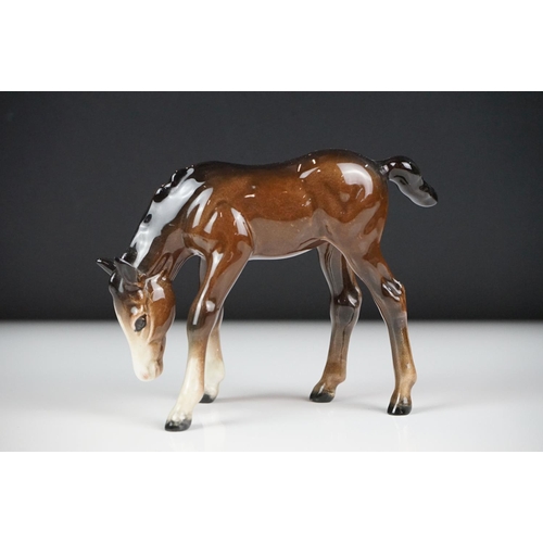 59 - Seven Beswick porcelain foals, mostly brown gloss examples, tallest approx 13cm, all with printed ma... 