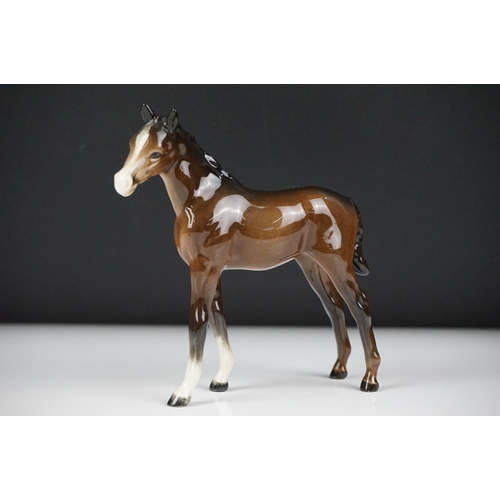 59 - Seven Beswick porcelain foals, mostly brown gloss examples, tallest approx 13cm, all with printed ma... 