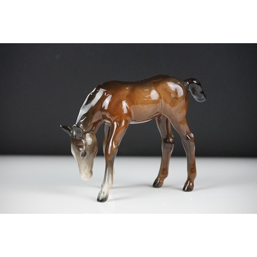 59 - Seven Beswick porcelain foals, mostly brown gloss examples, tallest approx 13cm, all with printed ma... 