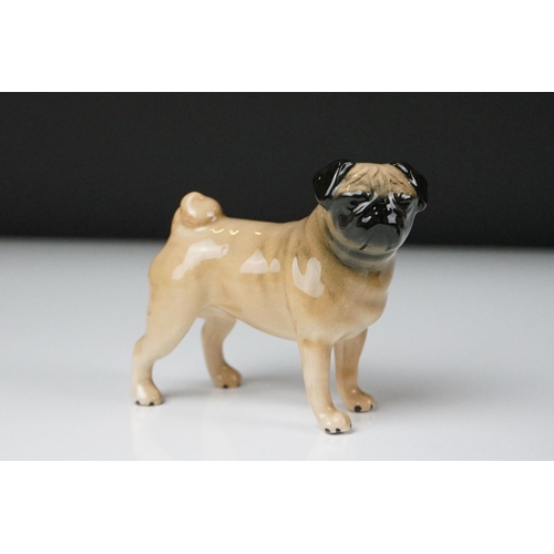 67 - Six Beswick porcelain dog figures, to include a Sheepdog, Scottie, Pug, Corgi, Cocker Spaniel and a ... 