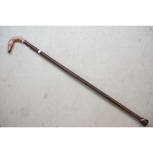 153 - Walking stick with carved handle in the form of a Greyhound head, approx 90cm long