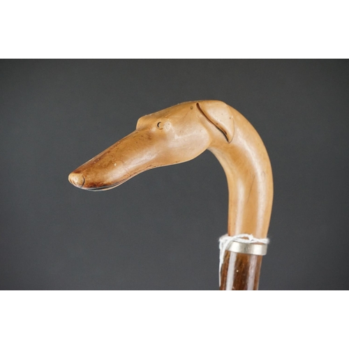 153 - Walking stick with carved handle in the form of a Greyhound head, approx 90cm long