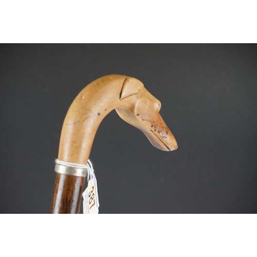 153 - Walking stick with carved handle in the form of a Greyhound head, approx 90cm long