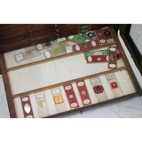 167 - Late 19th / Early 20th century painted wooden microscope slide cabinet, the glazed door opening to r... 