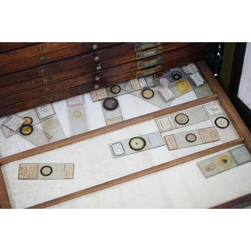 167 - Late 19th / Early 20th century painted wooden microscope slide cabinet, the glazed door opening to r... 