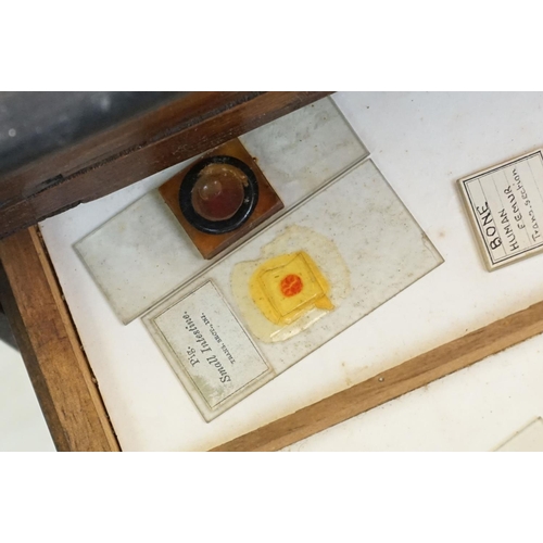 167 - Late 19th / Early 20th century painted wooden microscope slide cabinet, the glazed door opening to r... 