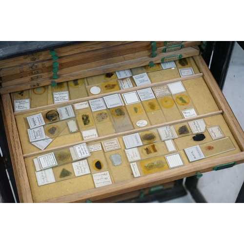 168 - Late 19th / Early 20th century painted wooden microscope slide cabinet, with two glazed doors (1 a/f... 