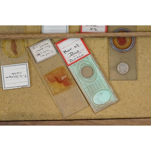 168 - Late 19th / Early 20th century painted wooden microscope slide cabinet, with two glazed doors (1 a/f... 