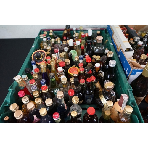 450 - Large collection of 150+ miniatures, to include whisky, brandy, sambuco, amaretto & many others (2 b... 