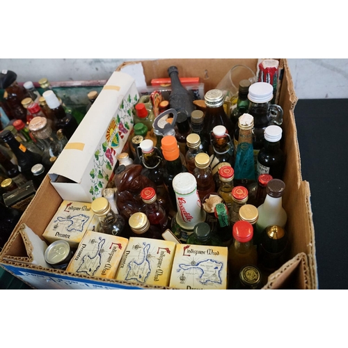 450 - Large collection of 150+ miniatures, to include whisky, brandy, sambuco, amaretto & many others (2 b... 