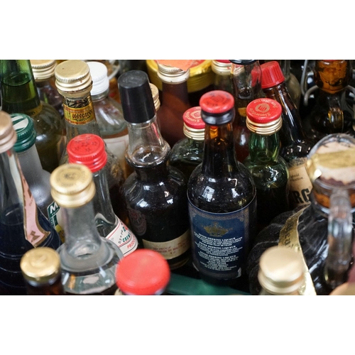 450 - Large collection of 150+ miniatures, to include whisky, brandy, sambuco, amaretto & many others (2 b... 