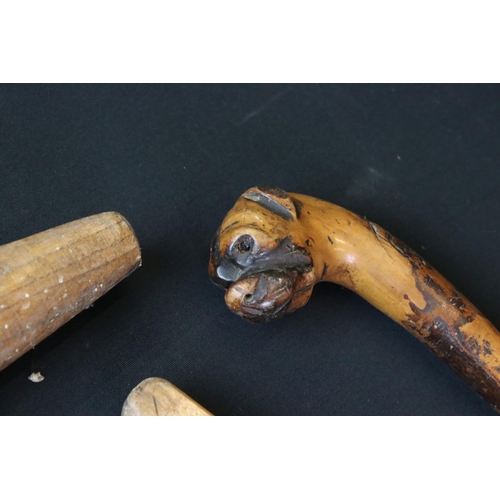 445 - Walking Stick with the handle carved in the form of a Boxer Dog together with a Wooden Measuring Sti... 