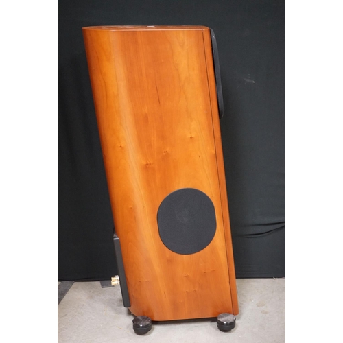 756 - Music Equipment - Pair of Audio Physics Virgo V speakers