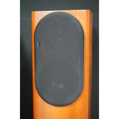 756 - Music Equipment - Pair of Audio Physics Virgo V speakers