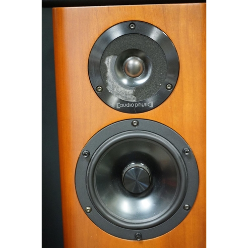 756 - Music Equipment - Pair of Audio Physics Virgo V speakers