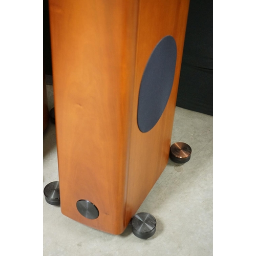 756 - Music Equipment - Pair of Audio Physics Virgo V speakers