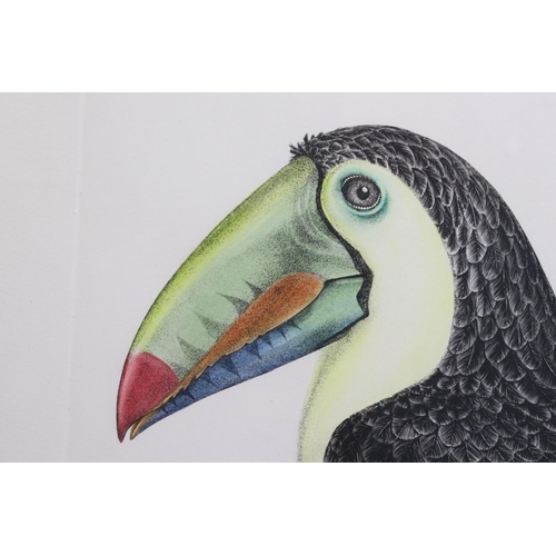 539 - Jack Coutu (1924-2017) - Two artists proof signed prints to include ' Sulphur Breasted Toucan ' (A/P... 