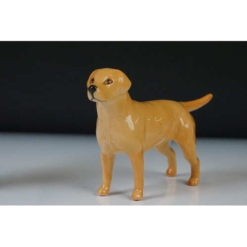 71 - Six Beswick porcelain dog figures to include a Bosun Bulldog (1731), Labrador (1956), Dachshund Begg... 