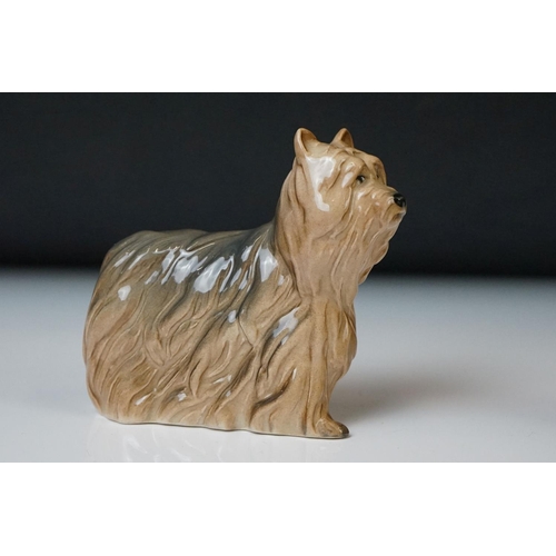 71 - Six Beswick porcelain dog figures to include a Bosun Bulldog (1731), Labrador (1956), Dachshund Begg... 