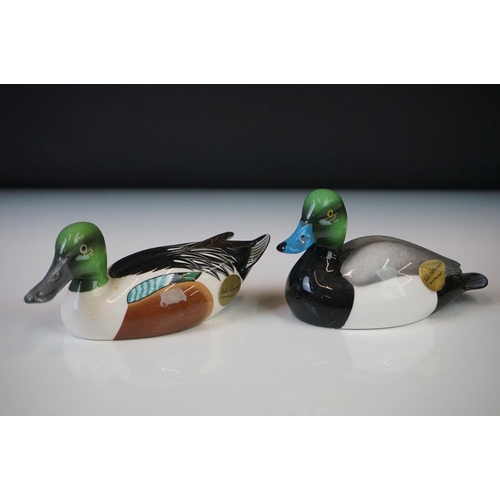 76 - Collection of 14 Beswick porcelain birds and ducks, to include 6 ducks (Common Teal JDB4, European W... 