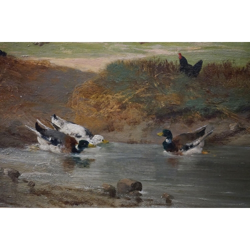 113 - Oil Painting on Canvas of Chickens and Ducks in a Landscape, indistinctly signed lower left Dufresne... 