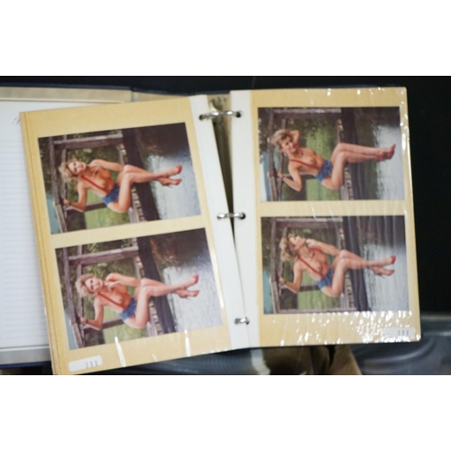 394 - A very large collection of erotic photographs of various models stored within albums complete with n... 