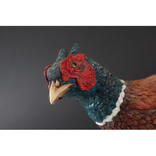 102 - Country Artist Model of a Pheasant titled  ' Autumn Splendour ' modelled by Keith Sherwin, limited e... 