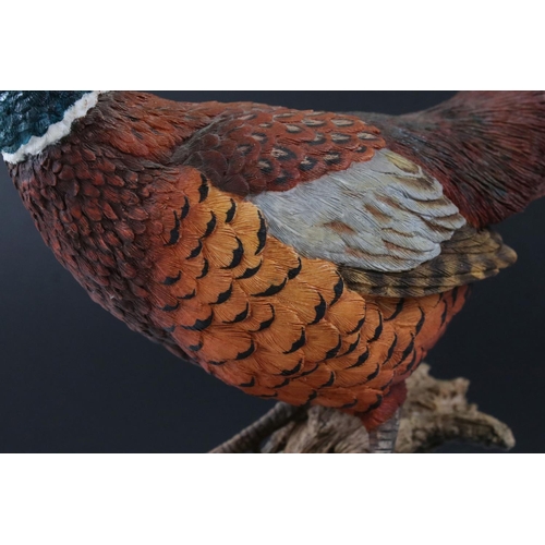 102 - Country Artist Model of a Pheasant titled  ' Autumn Splendour ' modelled by Keith Sherwin, limited e... 