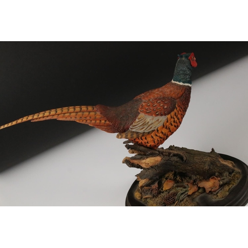 102 - Country Artist Model of a Pheasant titled  ' Autumn Splendour ' modelled by Keith Sherwin, limited e... 