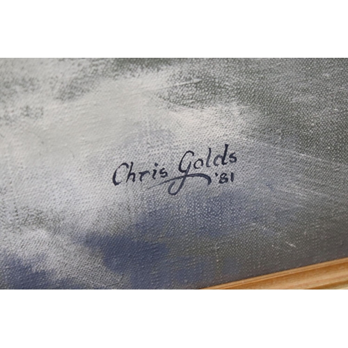 152 - Christopher ( Chris ) Charles Golds (b.1936) Oil Painting on Canvas of Bi-planes, signed lower right... 