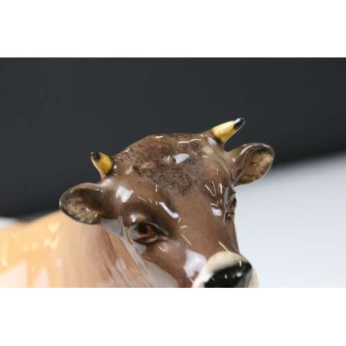 20 - Beswick Jersey Bull ' ch. Dunsley Coy Boy ' model no. 1422, Two Beswick Jersey Cows 'ch. Newton Tink... 