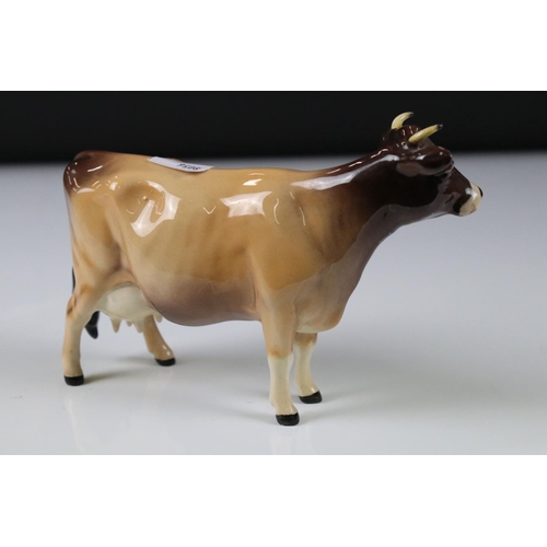 20 - Beswick Jersey Bull ' ch. Dunsley Coy Boy ' model no. 1422, Two Beswick Jersey Cows 'ch. Newton Tink... 