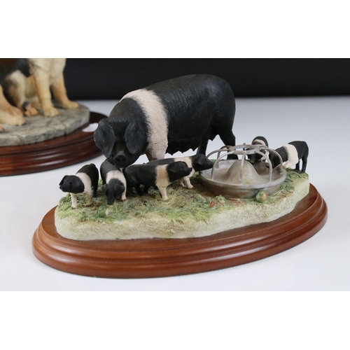 56 - Border Fine Arts of a Pig and Piglets modelled by Kirsty Armstrong, certificate attached to base, 19... 