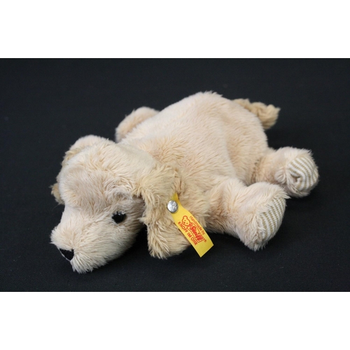 468 - Two Steiff soft toys to include 113376 Teddy Bear Cosy Year with original tag and a lying down dog