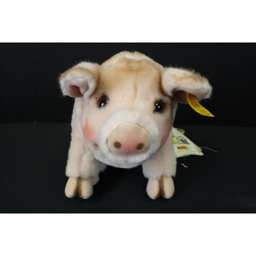 494 - Boxed Steiff Pig with original labels