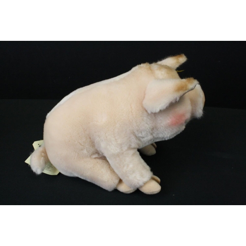 494 - Boxed Steiff Pig with original labels