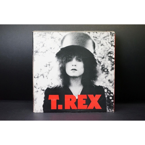 313 - Vinyl - 12 T-Rex / Marc Bolan LPs spanning their career.  Vg overall.