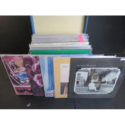 582 - Vinyl – 33 Indie / Alternative albums and 18 12” singles to include Biff Bang Pow (3 Original albums... 