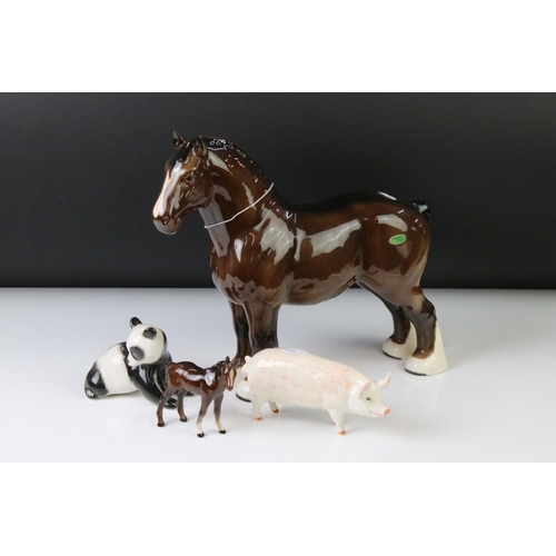 41 - Beswick brown gloss shire horse with original paper label, 26.5cm high, together with a Beswick Cham... 
