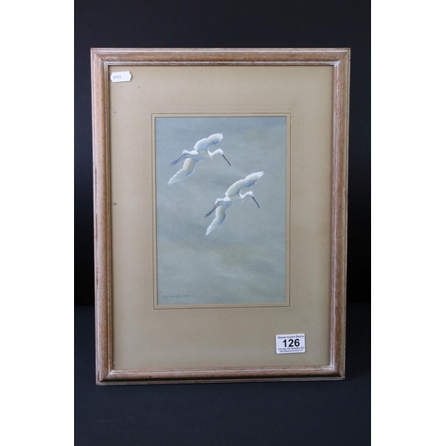 126 - Ian Houston (1934-2021) Watercolour of two Spoonbills in flight, signed and dated 1954, 17cm x 24cm,... 