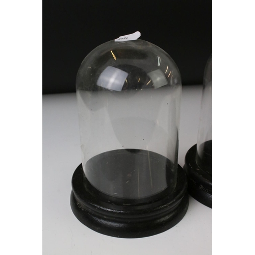 161 - Set of three vintage glass display domes, each approx 18cm in height, on ebonised wooden bases