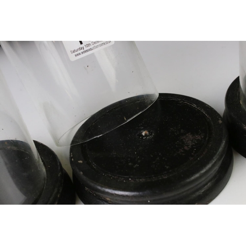 161 - Set of three vintage glass display domes, each approx 18cm in height, on ebonised wooden bases