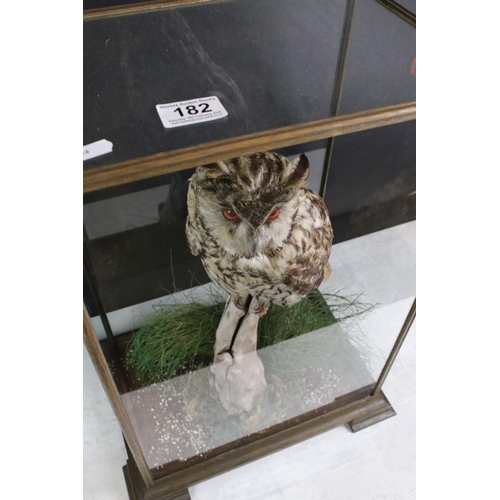 182 - Taxidermy - A Long-Eared Owl, perched in a naturalistic setting, housed within a glazed wooden case,... 