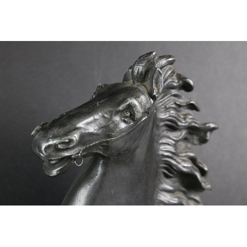 204 - Large Pair of 19th century Spelter rearing Marley Horses with a bronze finish, 57cm high