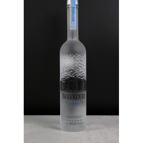 409 - A collection of bottled vodka to include Iordanov, Absolute and Belvedere examples.