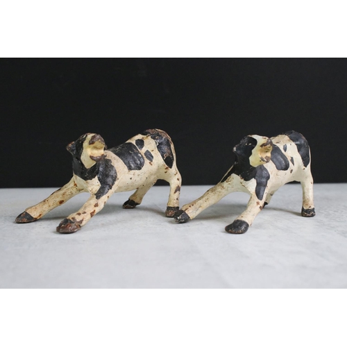 350 - A collection of four Butchers advertising cast iron friesian cows