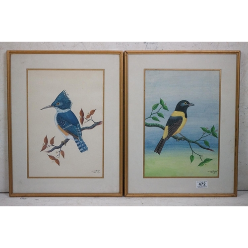 472 - 20th century, a pair of fine ornithological watercolour studies of exotic birds perched on branches,... 