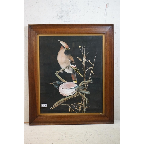 479 - Oil on Paper of Two Jay Birds on a Branch signed D K Thomas, 59cm x 48cm, framed and glazed