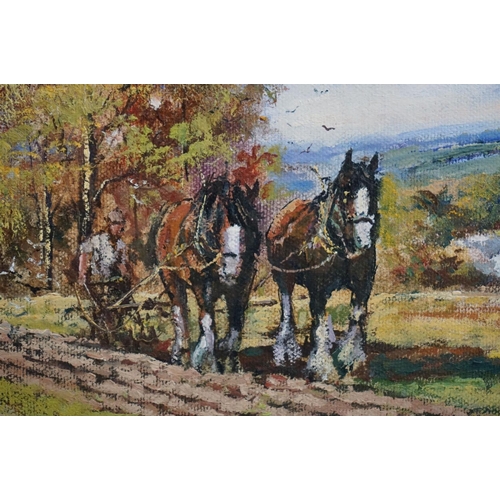 486 - Alan King (British contemporary) Pair of Oil Paintings on Canvas of Shire Horses titled Devon Plough... 