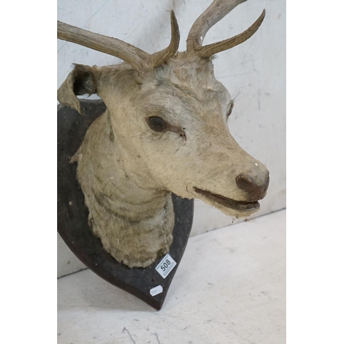 508 - Taxidermy - Stags Head with Antlers mounted on a shield shape plinth, 90cm high